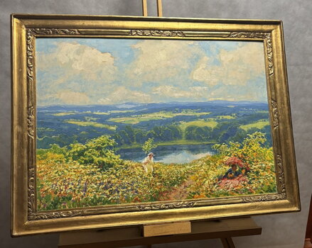 KVETOUCÍ MEZE POD ZVIČÍNSKÝM NEBEM - LANGER KAREL