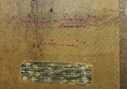 KVETOUCÍ MEZE POD ZVIČÍNSKÝM NEBEM - LANGER KAREL