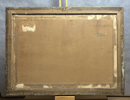 KVETOUCÍ MEZE POD ZVIČÍNSKÝM NEBEM - LANGER KAREL