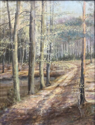 LESNÍ CESTA - NEZNÁMÝ AUTOR