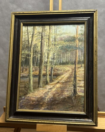 LESNÍ CESTA - NEZNÁMÝ AUTOR