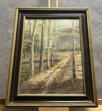 LESNÍ CESTA - NEZNÁMÝ AUTOR