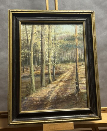 LESNÍ CESTA - NEZNÁMÝ AUTOR