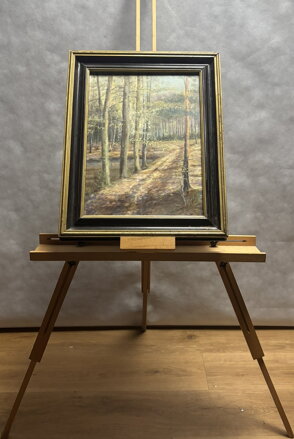 LESNÍ CESTA - NEZNÁMÝ AUTOR