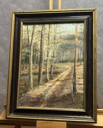 LESNÍ CESTA - NEZNÁMÝ AUTOR