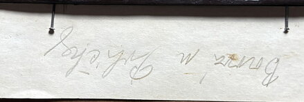 BOROVÁ U POLIČKY - LESNÝ LEDERER MILOSLAV