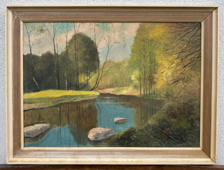 PROSLUNĚNÉ STROMY U ŘEKY - LESNÝ LEDERER MILOSLAV