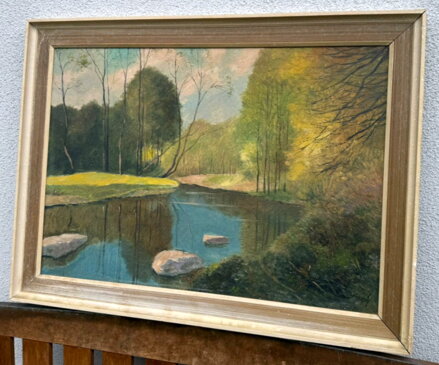 PROSLUNĚNÉ STROMY U ŘEKY - LESNÝ LEDERER MILOSLAV