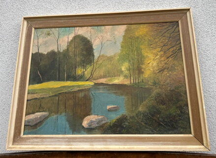 PROSLUNĚNÉ STROMY U ŘEKY - LESNÝ LEDERER MILOSLAV