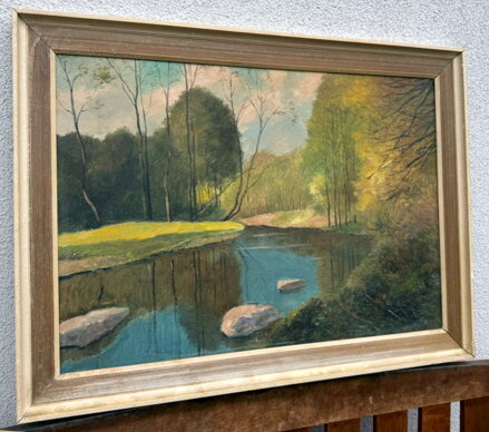 PROSLUNĚNÉ STROMY U ŘEKY - LESNÝ LEDERER MILOSLAV