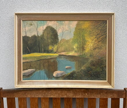 PROSLUNĚNÉ STROMY U ŘEKY - LESNÝ LEDERER MILOSLAV