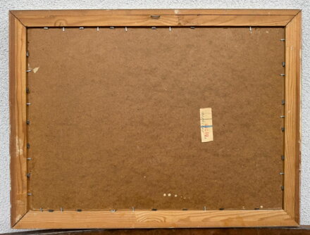 PROSLUNĚNÉ STROMY U ŘEKY - LESNÝ LEDERER MILOSLAV