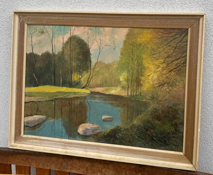 PROSLUNĚNÉ STROMY U ŘEKY - LESNÝ LEDERER MILOSLAV