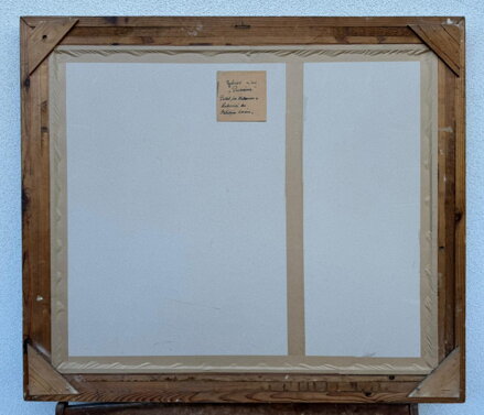 RYCHNOV NAD KNĚŽNOU PANORAMA - POHLED PŘES HABROVOU A LUKAVICI KU ORLICKÝM HORÁM - LINHART RUDOLF