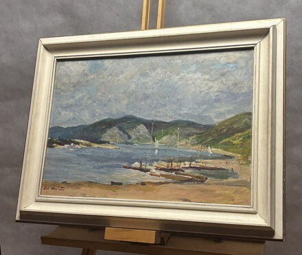 SLAPSKÉ JEZERO - MÁČEL ZDENĚK