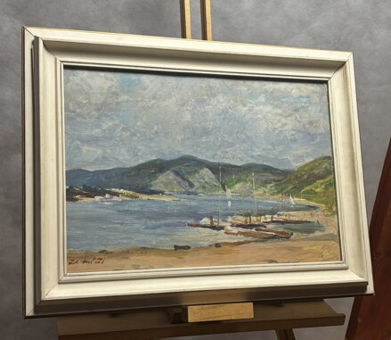 SLAPSKÉ JEZERO - MÁČEL ZDENĚK