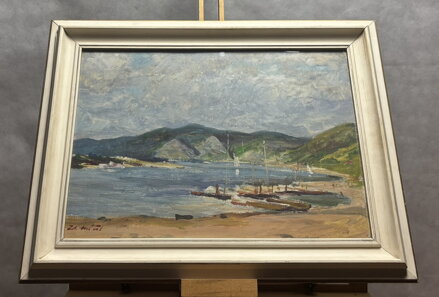 SLAPSKÉ JEZERO - MÁČEL ZDENĚK