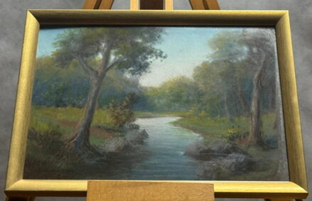 STROMY U ŘEKY - MAYER CHARLES