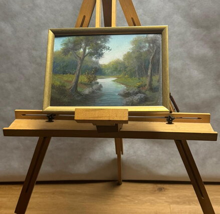 STROMY U ŘEKY - MAYER CHARLES