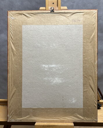 HRAD NAD LESEM - MOTYČKA FRANTIŠEK