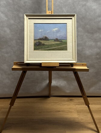 LETNÍ DEN - MRÁZ HABROVSKÝ JAROSLAV