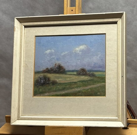 LETNÍ DEN - MRÁZ HABROVSKÝ JAROSLAV