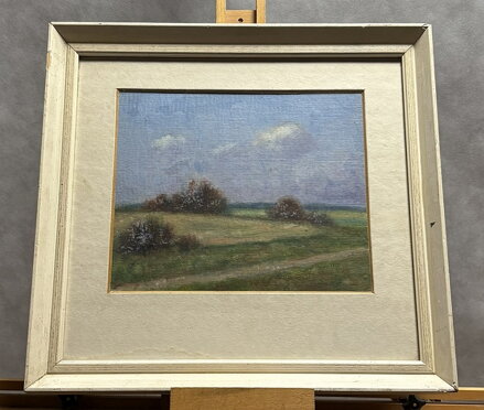 LETNÍ DEN - MRÁZ HABROVSKÝ JAROSLAV