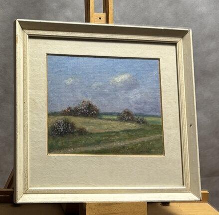 LETNÍ DEN - MRÁZ HABROVSKÝ JAROSLAV