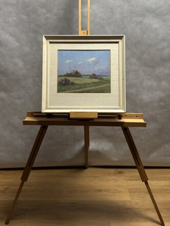 LETNÍ DEN - MRÁZ HABROVSKÝ JAROSLAV