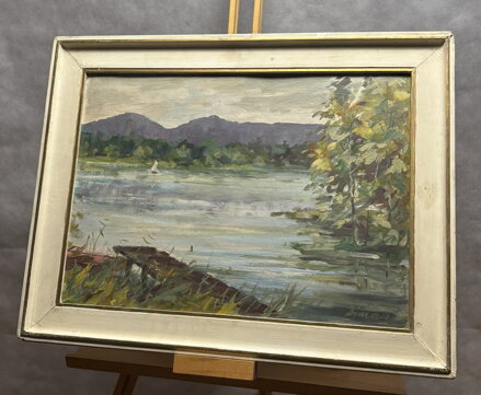 KOMÁROVSKÝ RYBNÍK U BRANŽEŽE - NAJMAN JAROSLAV