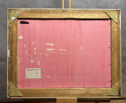 KOMÁROVSKÝ RYBNÍK U BRANŽEŽE - NAJMAN JAROSLAV