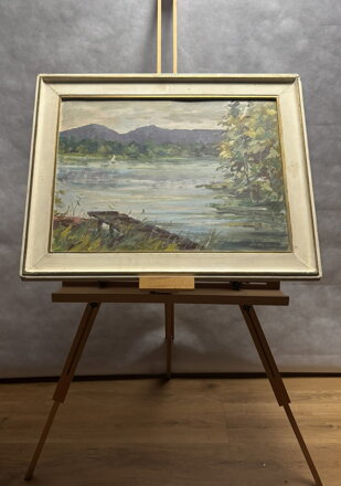 KOMÁROVSKÝ RYBNÍK U BRANŽEŽE - NAJMAN JAROSLAV