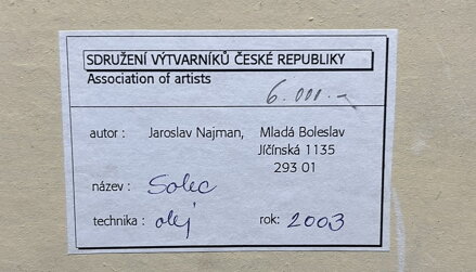 KOSTEL NANEBEVZETÍ PANNY MARIE V SOLEC U KNĚŽMOSTU - NAJMAN JAROSLAV