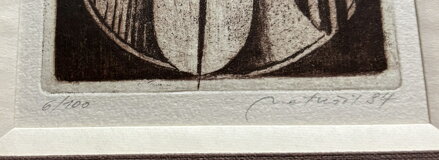 HOUSLE - NETUŠIL LUBOMÍR