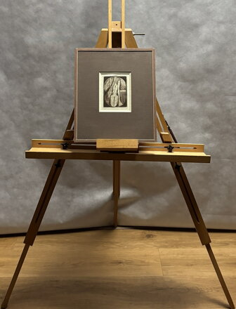 HOUSLE - NETUŠIL LUBOMÍR