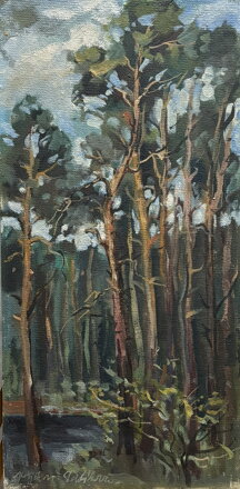 BOROVICOVÝ HÁJ - NOŽIČKOVÁ STEHLÍKOVÁ DANUŠE