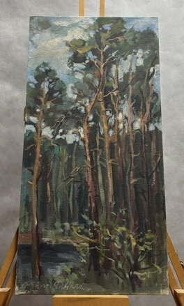 BOROVICOVÝ HÁJ - NOŽIČKOVÁ STEHLÍKOVÁ DANUŠE