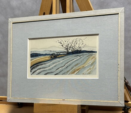 BRÁZDY NA POLI - NOŽIČKOVÁ STEHLÍKOVÁ DANUŠE