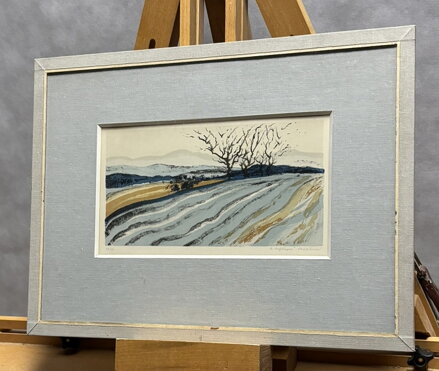 BRÁZDY NA POLI - NOŽIČKOVÁ STEHLÍKOVÁ DANUŠE