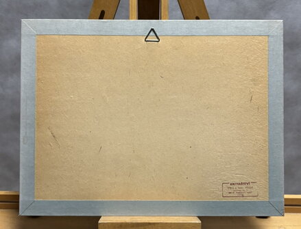 BRÁZDY NA POLI - NOŽIČKOVÁ STEHLÍKOVÁ DANUŠE