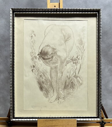 AKT SBÍRÁNÍ KVĚTŮ - OBROVSKÝ JAKUB