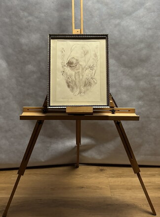 AKT SBÍRÁNÍ KVĚTŮ - OBROVSKÝ JAKUB