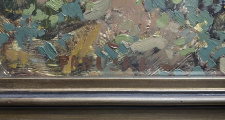 KVETOUCÍ LOUKA S VŘESEM - PANUŠKA JAROSLAV