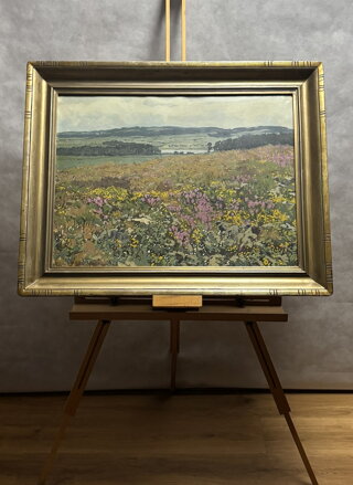 KVETOUCÍ LOUKA S VŘESEM - PANUŠKA JAROSLAV