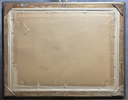 KVETOUCÍ LOUKA S VŘESEM - PANUŠKA JAROSLAV