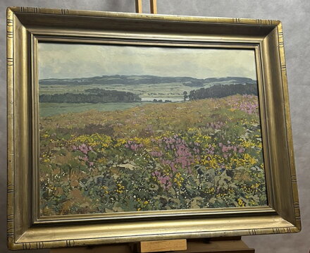 KVETOUCÍ LOUKA S VŘESEM - PANUŠKA JAROSLAV