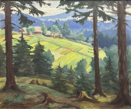 MORAVSKOSLEZSKÉ BESKYDY GRUŇ - PARMA LEOPOLD