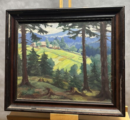 MORAVSKOSLEZSKÉ BESKYDY GRUŇ - PARMA LEOPOLD