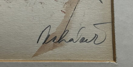 BRODCE - PECHÁČEK MILOSLAV