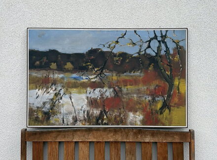 RYBNÍK U LESA - PECHÁČEK MILOSLAV